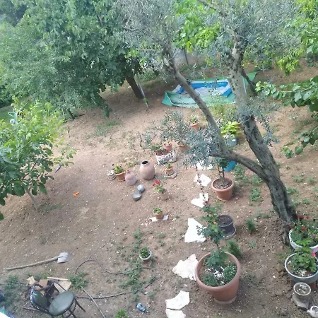 Doburca Kat 3 * בורסה